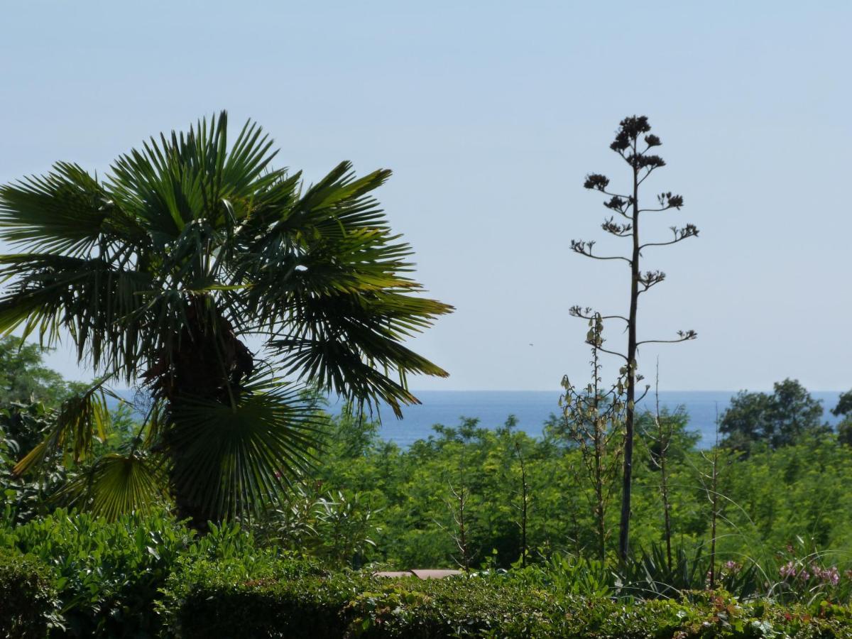 Sea Explorer House Novigrad Istria Esterno foto