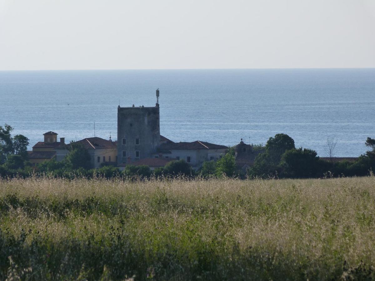 Sea Explorer House Novigrad Istria Esterno foto